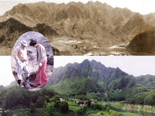 벌거숭이였던 충주 인등산이 울창한 '인재의 숲'으로 변한 모습. 원 안은 고(故) 최종현 회장과 故 박계희 여사가 1977년 인등산에서 함께 나무를 심는 모습. <SK그룹 제공>